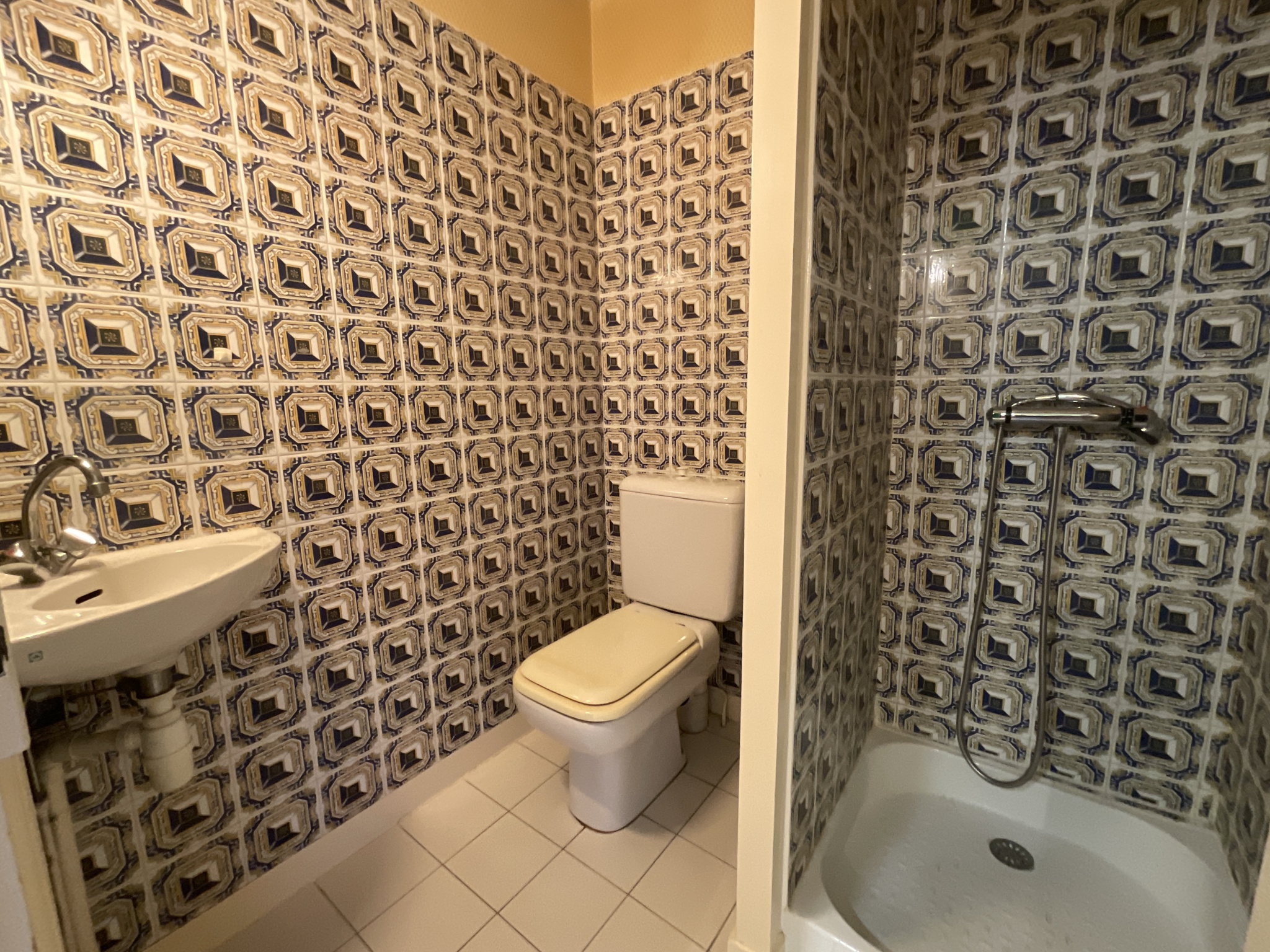 Ensemble immobilier avec local commercial et habitation 215 m2 à STE CECILE