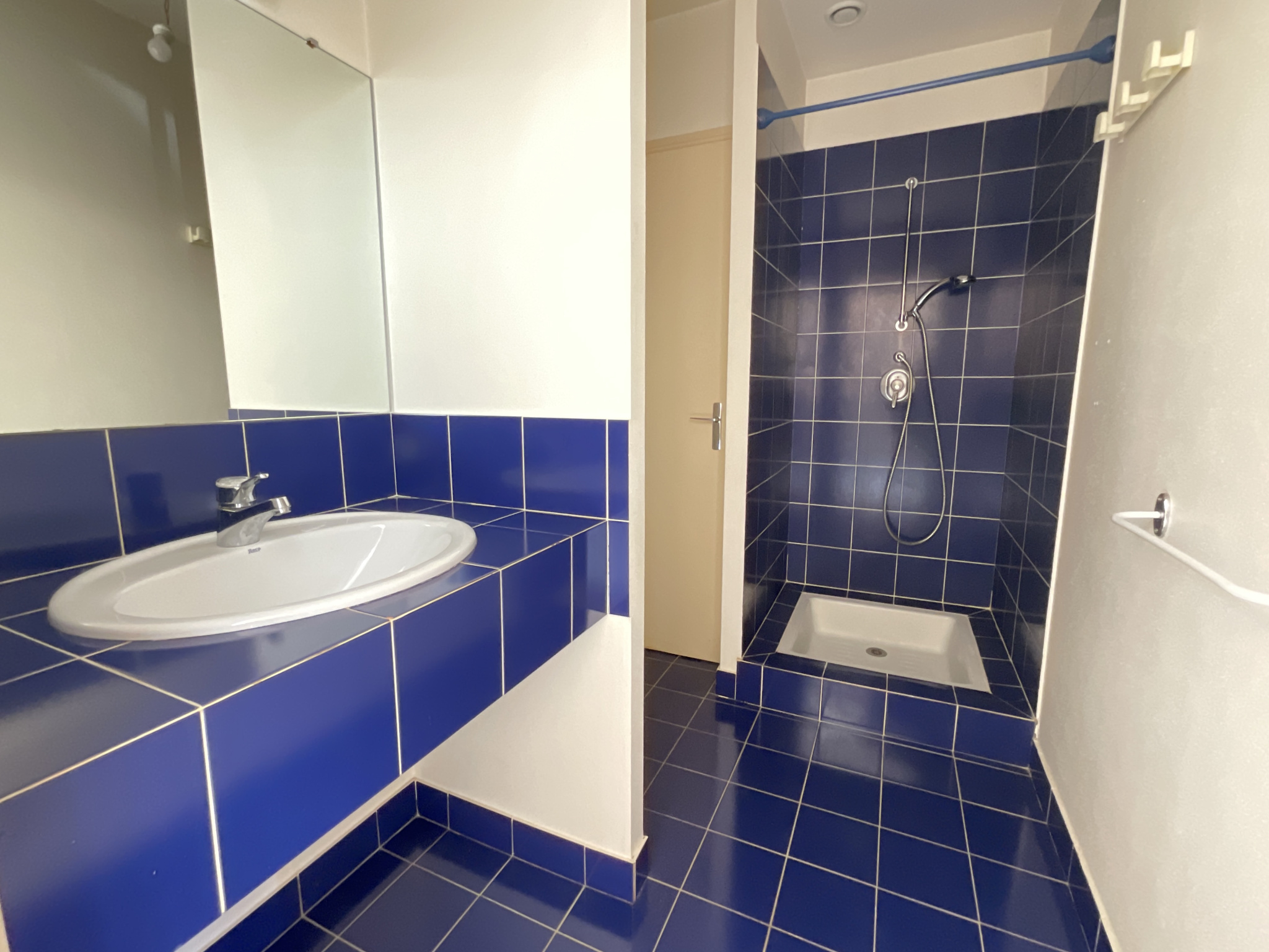 Ensemble immobilier avec local commercial et habitation 215 m2 à STE CECILE