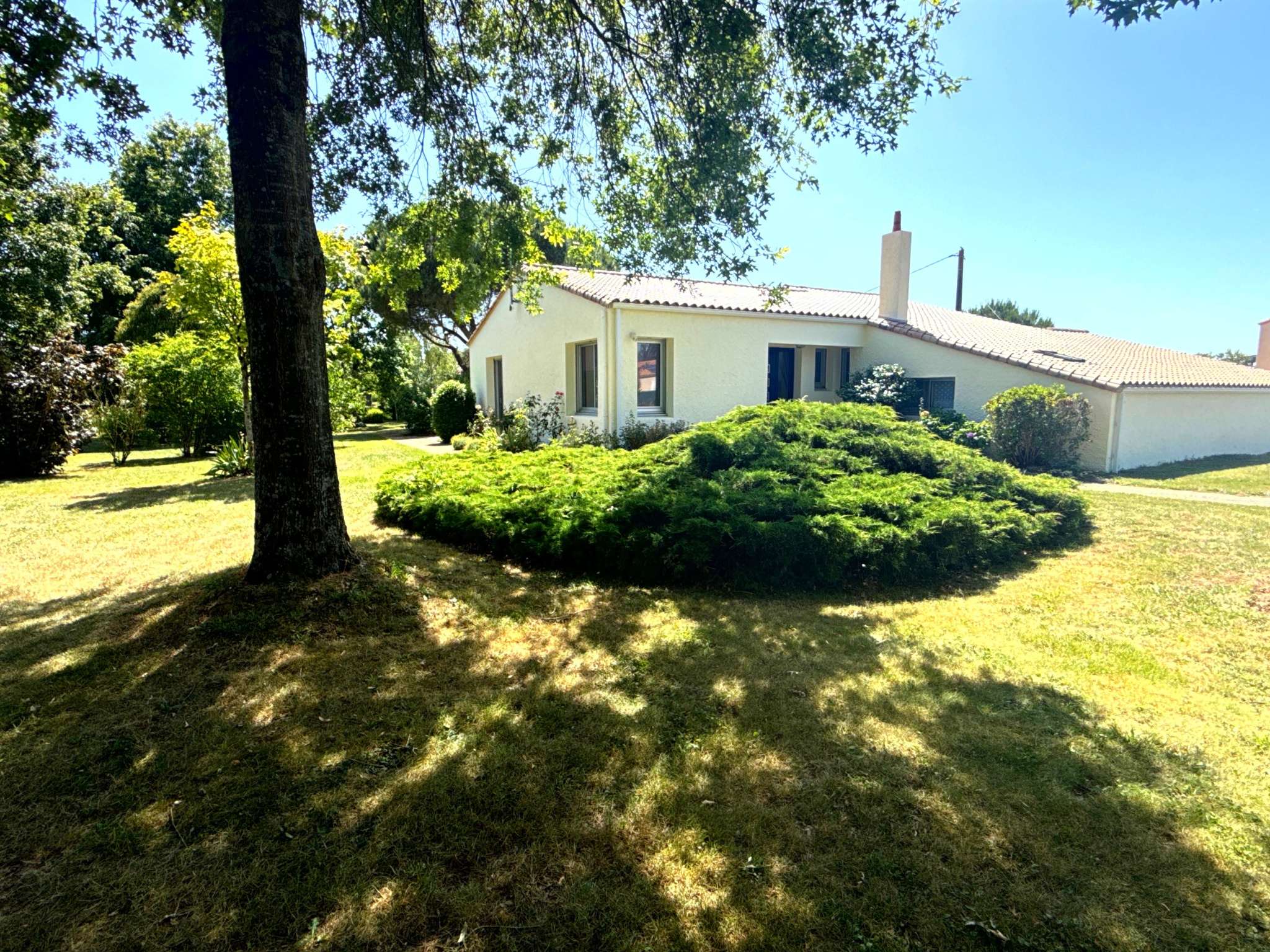 10 Kms CHANTONNAY - Pavillon plain-pied sur 3848 m2 de terrain