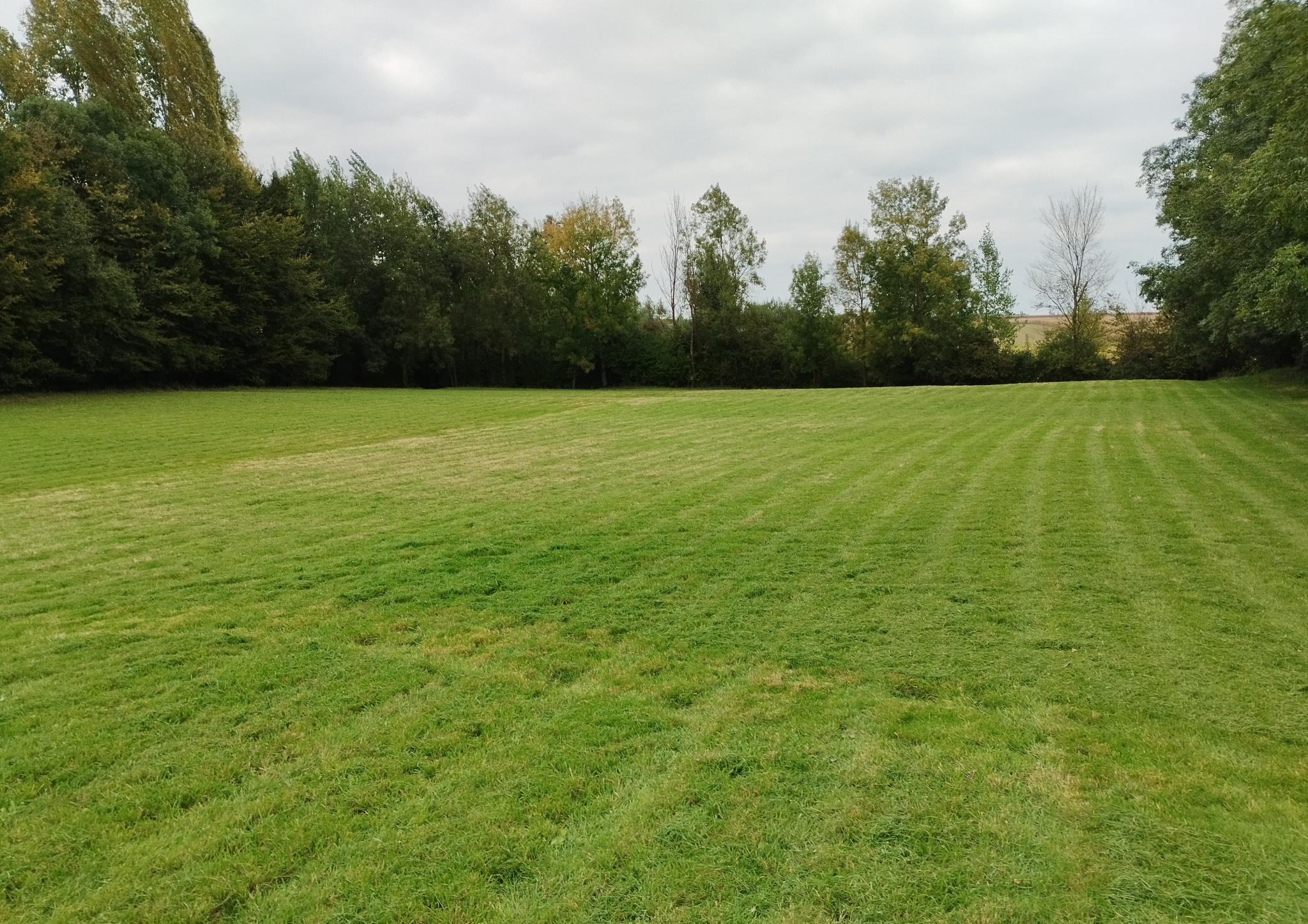 Terrain de loisirs de 6590m2