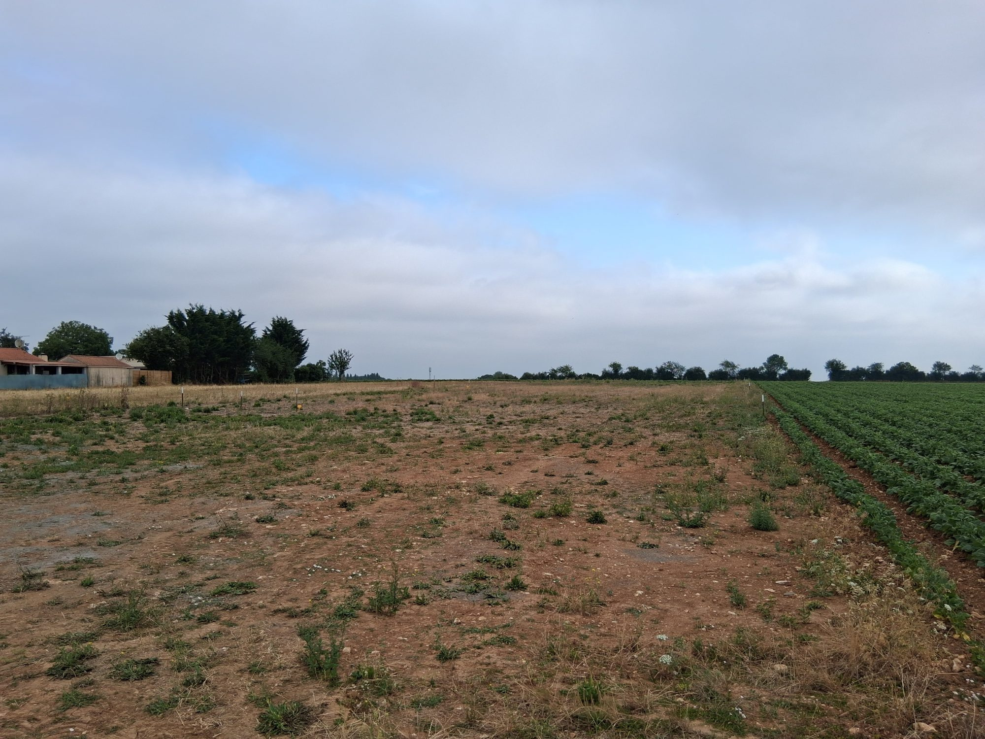 Terrain viabilisé à bâtir
