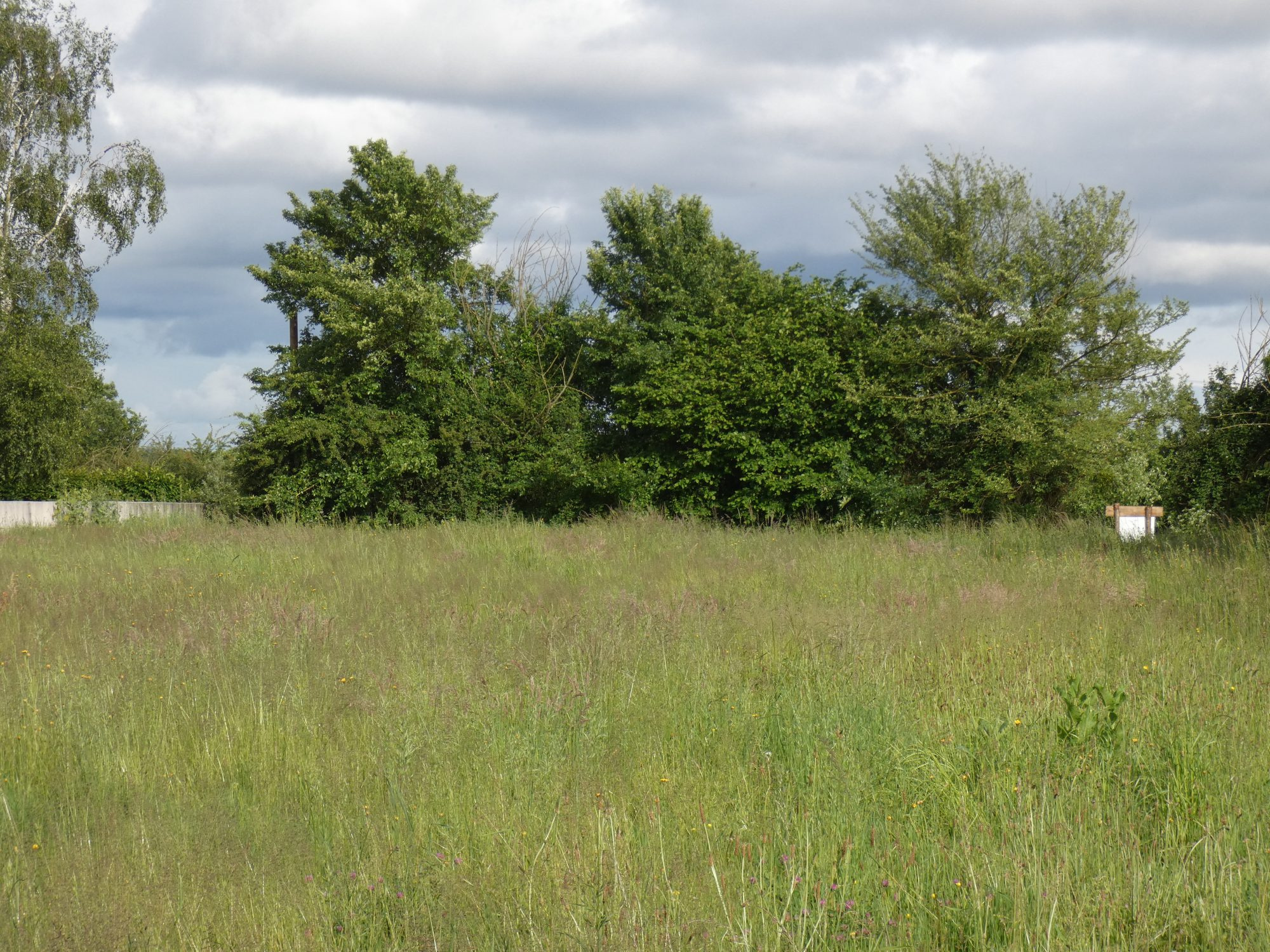 Terrain à bâtir